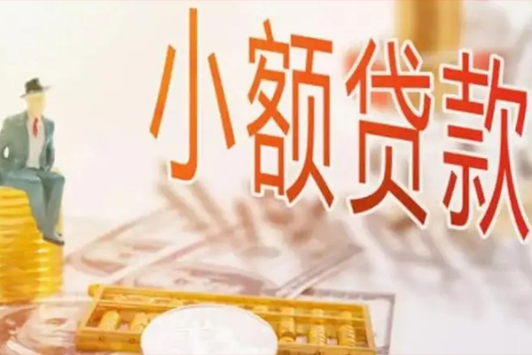 成都26私人身份证借私借-成都26个人上门小额贷款-成都26短借公证